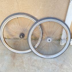 Spoke Rims