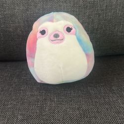 *5 Inch* Rainbow Sloth Squishmallow