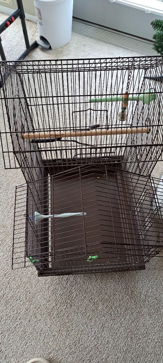 Parakeet Cage