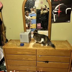 Dresser W/ mirror 