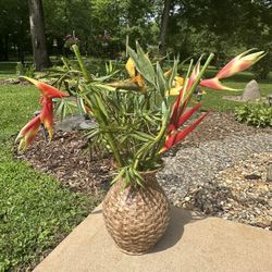 Wicker Ceramic Vase with Bird of Paradise Flowers apprx. 33” Tall