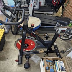 Sunny Fitness Bike