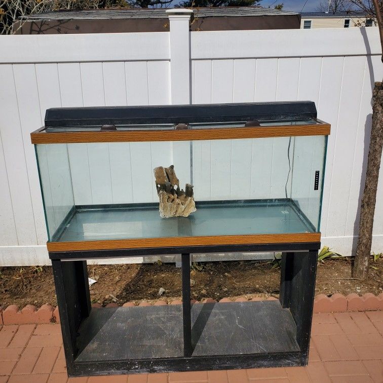 75 gallon tank with stand, and Light