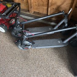 Hi Boy Scooters 