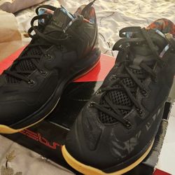New Max LeBron Xl lows. Brand new in the box. 