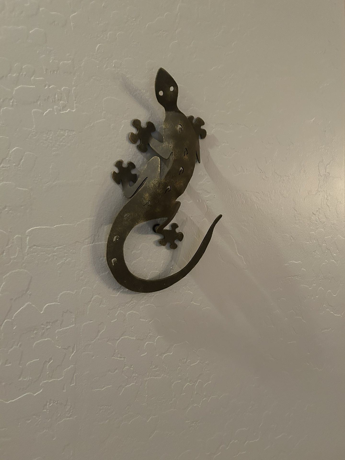 Wall Gecko