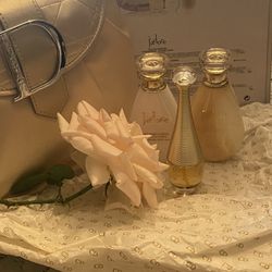 Dior Large Pouch With 3 Items 