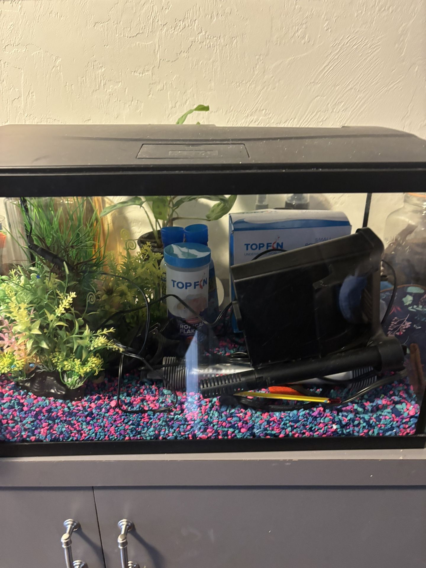 10 Gallon Fish Tank
