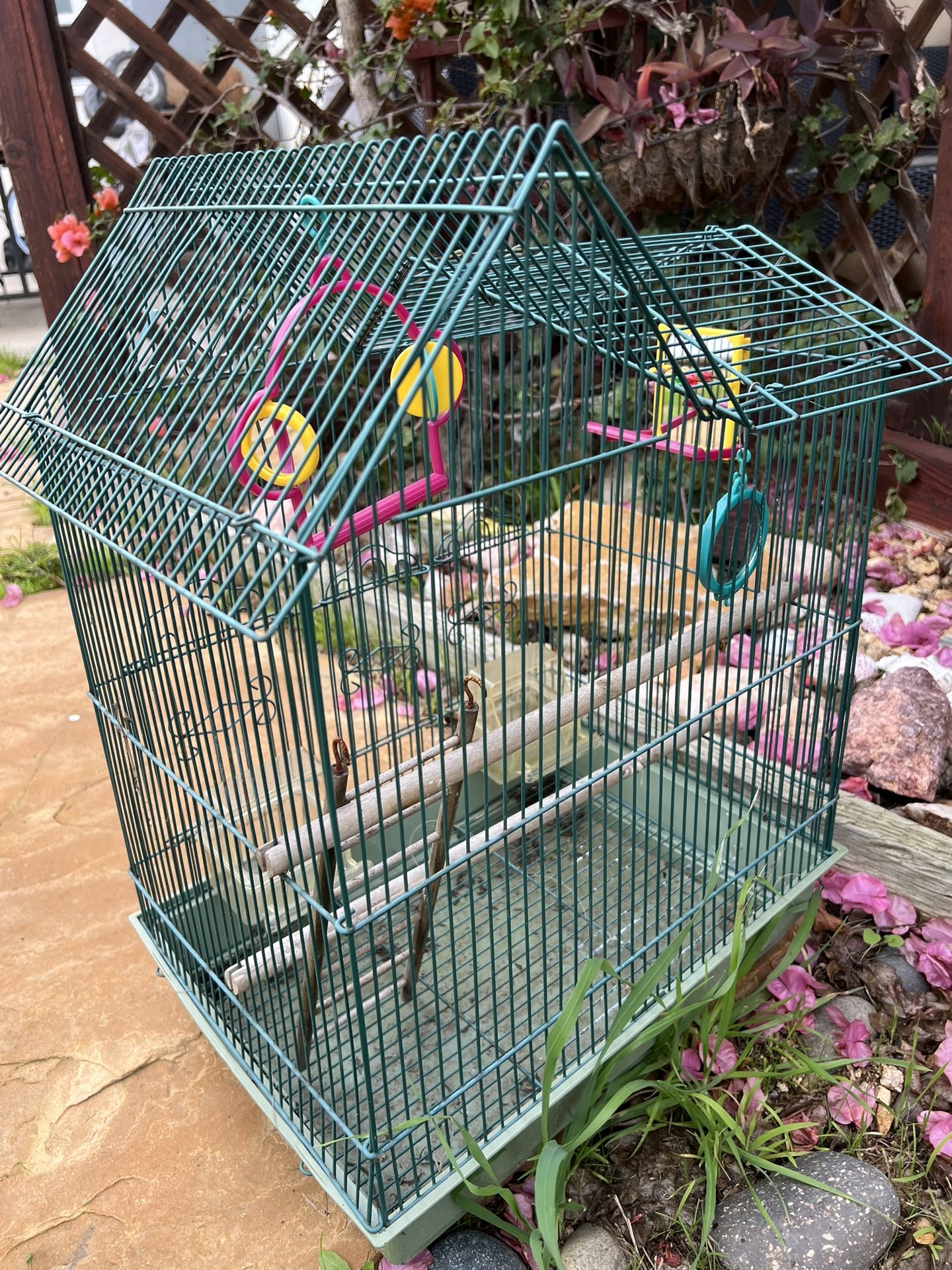 Bird Cage