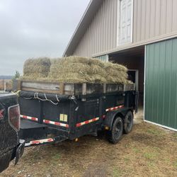 2nd Cut Good Quality Horse Hay