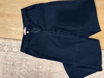 Zara women’s navy blue pants