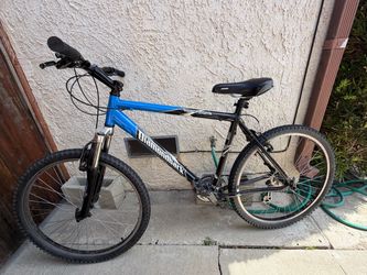 2002 Diamondback Response Adult Size 29x1.95 Wheels