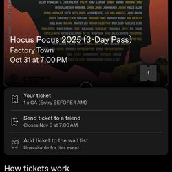 Factory Town (Pass 3 Days)