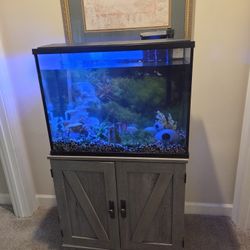 Fish Aquarium  37 Gallon