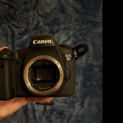 Canon 6D