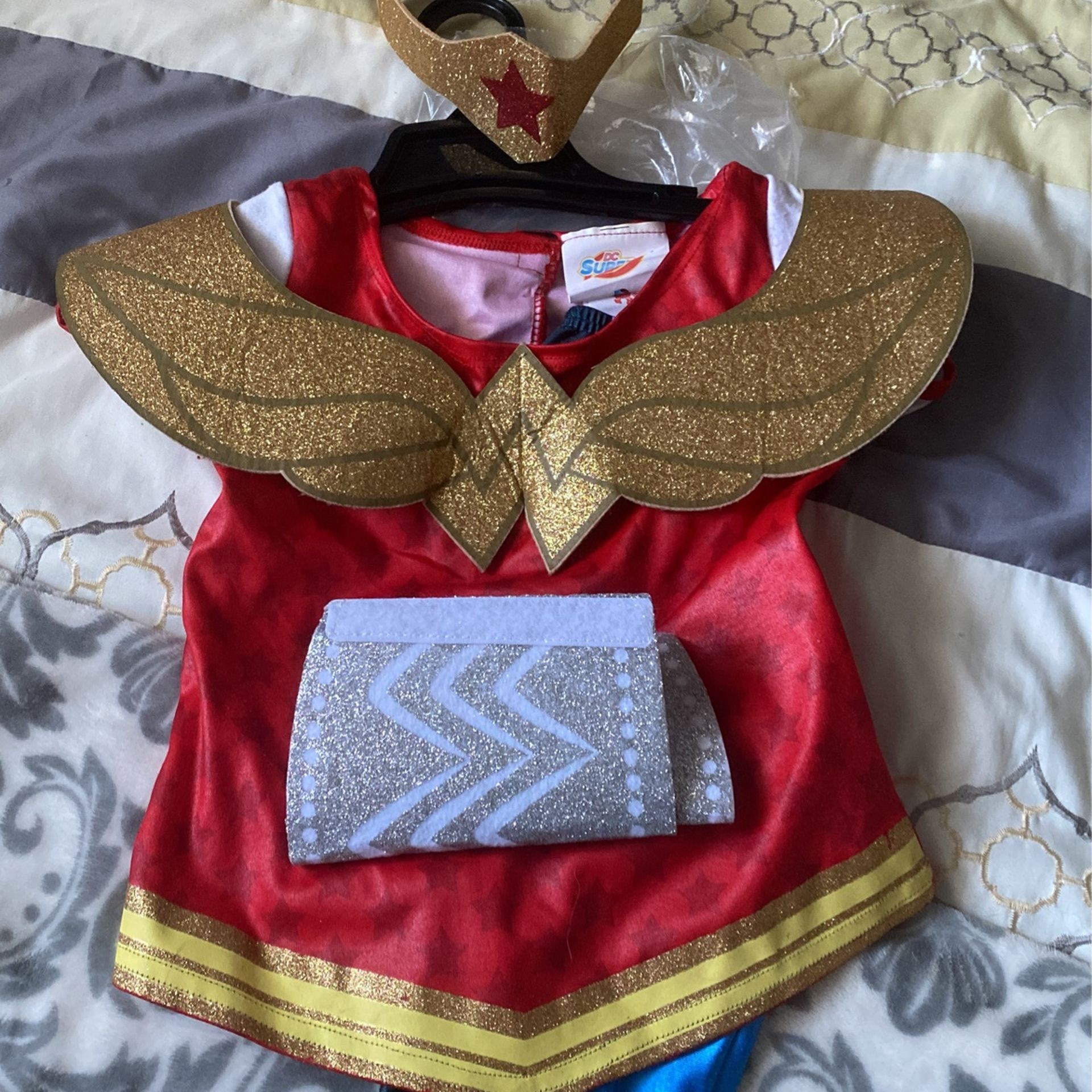 Super Hero Girls Costume