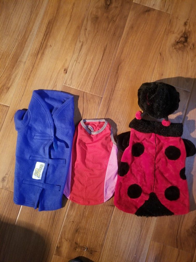 Dog Apparel