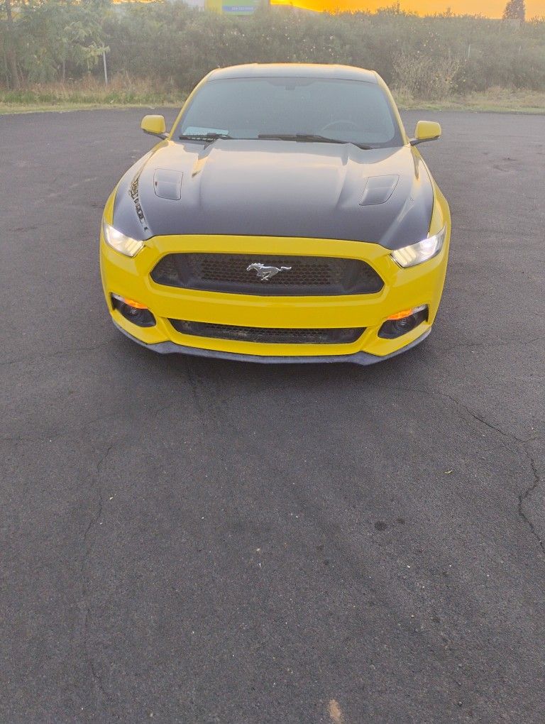 2015 Ford Mustang