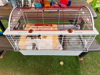 Living World Cage