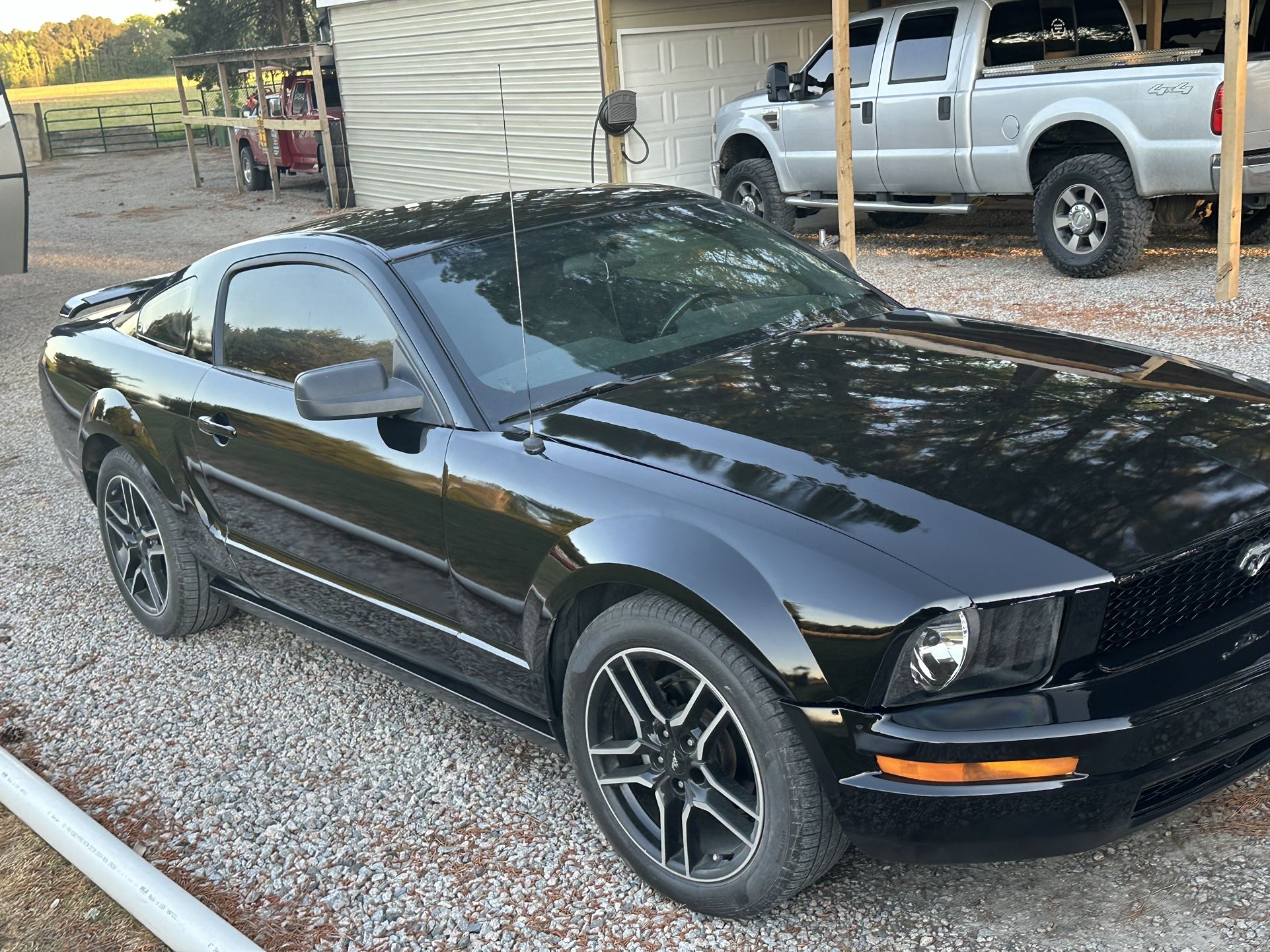 2005 Ford Mustang