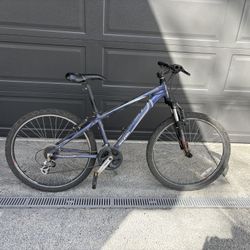 Raleigh Talus (specifically the Talus 3.0