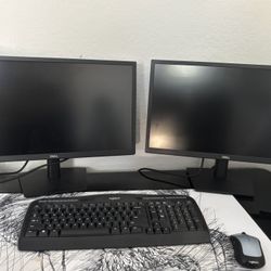 2 Desktop Monitors