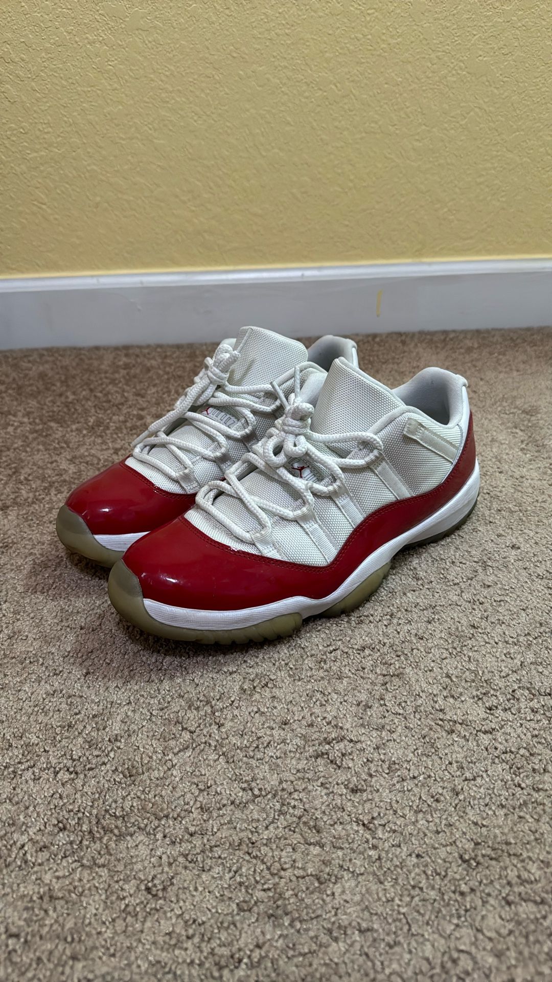 Jordan Retro 11 Lows