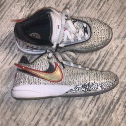 Nike Lebron 20  “The Debut” Size 5.5