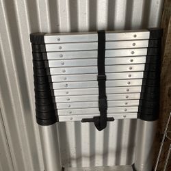 Telescoping Ladder