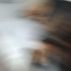 Wood Hyundai Firewood Sonata 16