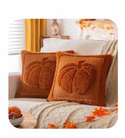 6 for $30 Pumpkin Fall Rust Rust Throw Pillow Covers 17x17