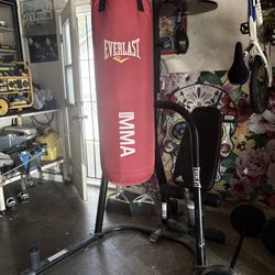 Everlast Dual 2-Station Heavy Bag Stand