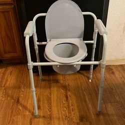 Bedside toilet
