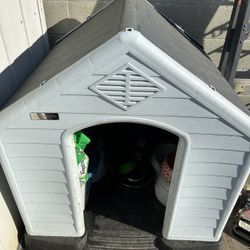 Dog House 