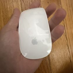 Apple Mouse Magic 