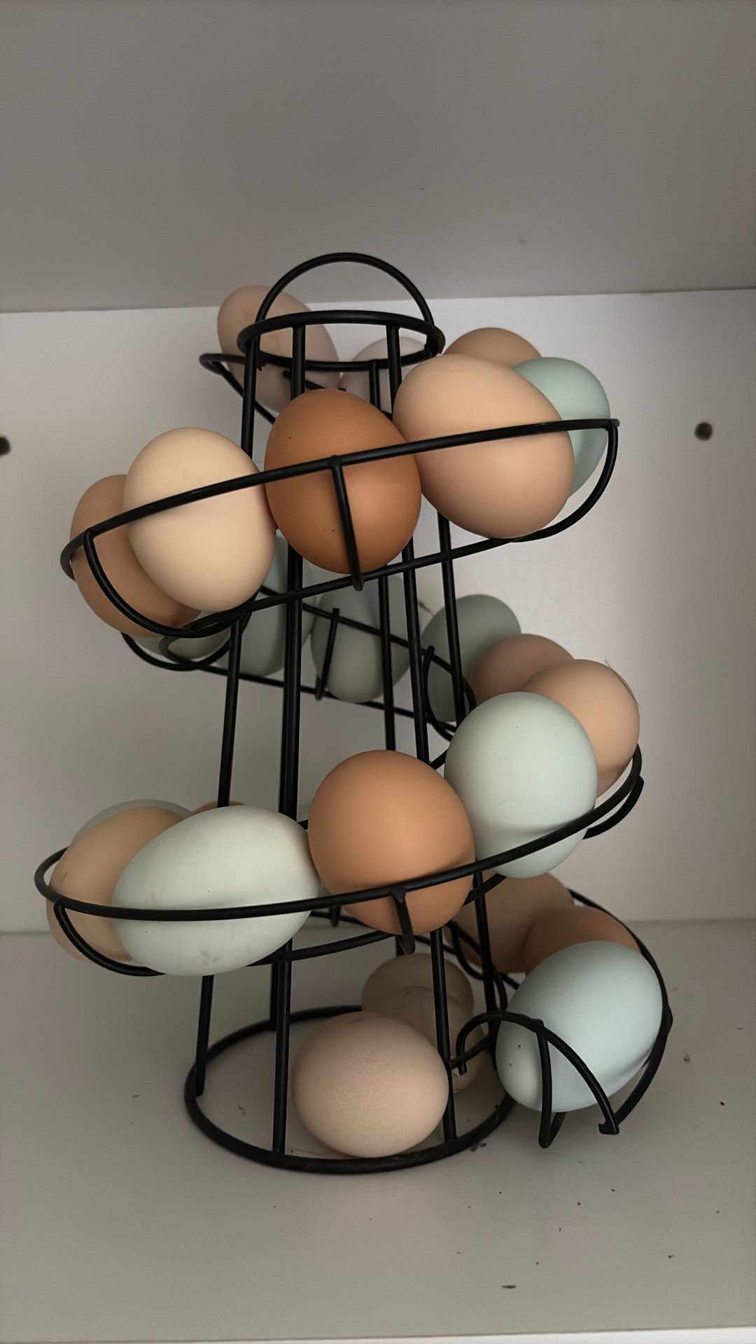 Fresh Eggs