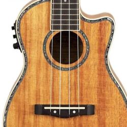 CLASES DE UKULELE REQUINTO 60 ADOMICILIO INCLUYE ARMONIA SOLFEO CANTO Y TEORIA MUSICAL