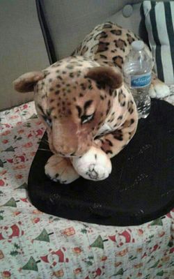 Peluches GRANDES nuevo