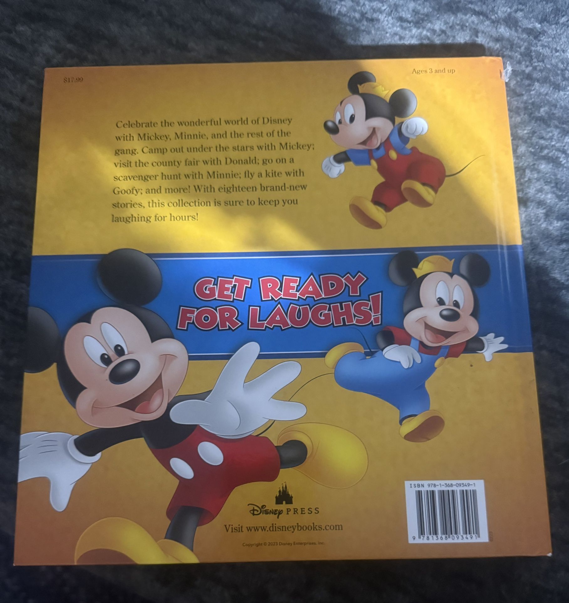 Mickey Mouse Book