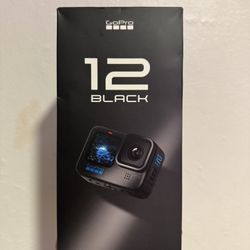 Go Pro 12  Black 