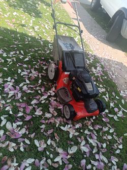 Lawnmower 