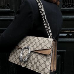 Gucci Dionysus (retail Price $3200 Plus Tax)