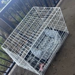 Dog Cage