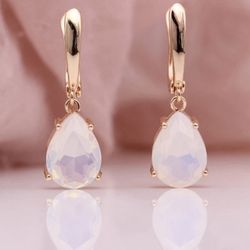 585 Rose Gold Natural Moonstone Earring