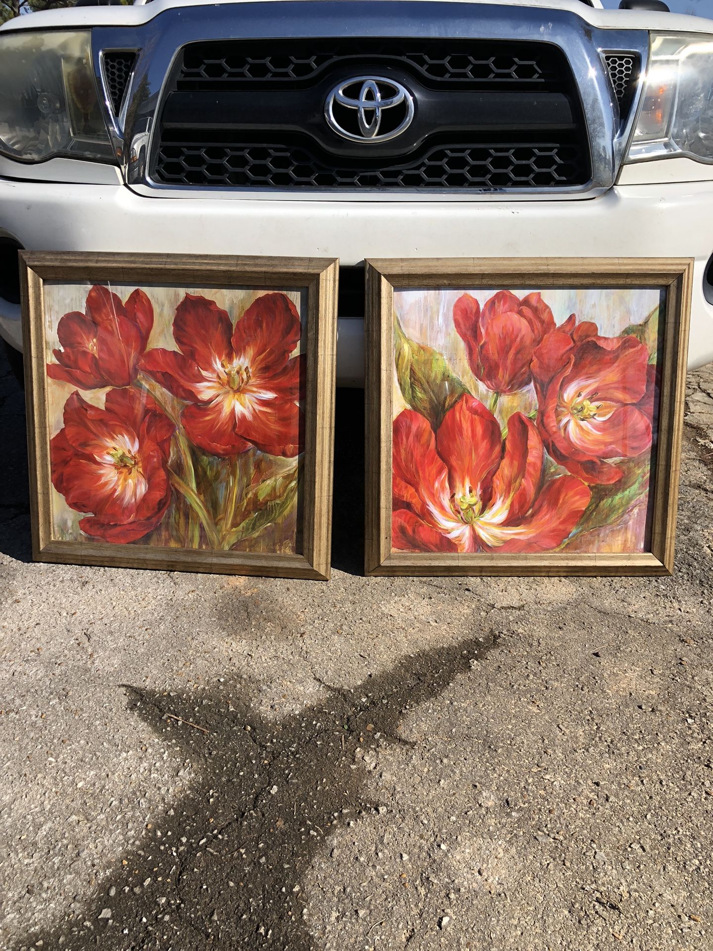 Set If 2 Liv Carson Framed Prints