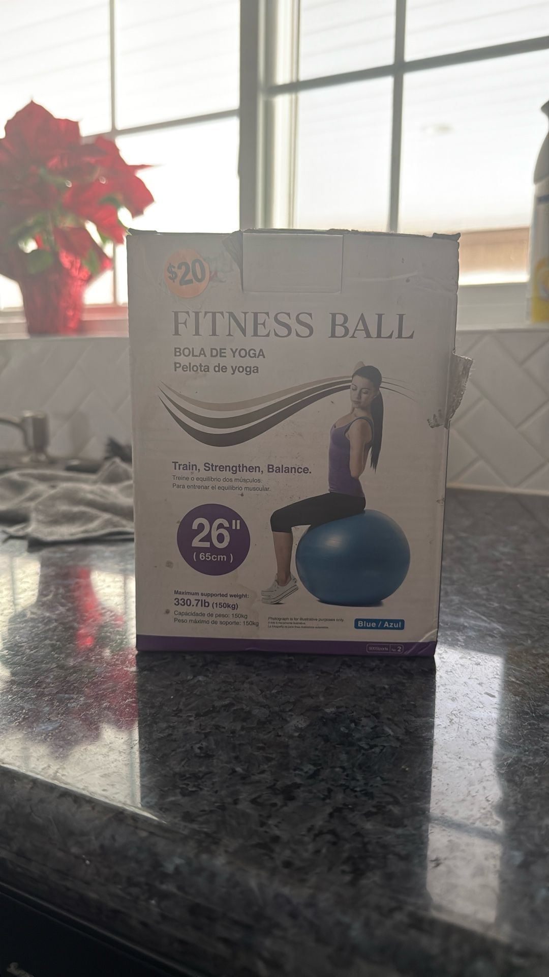 BLUE FITNESS YOGA BALL