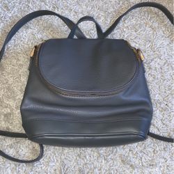 Purse/backpack