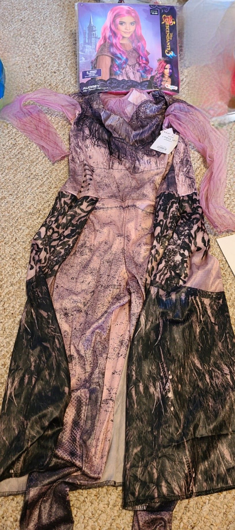 Descendents Audrey  Costume 