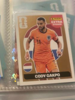 Panini card
