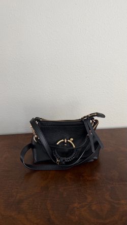 Real Chloe Bag! SeebyChloe